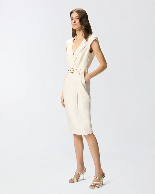 Pinko  AMADINE ABITO FRISOTTINO SS26